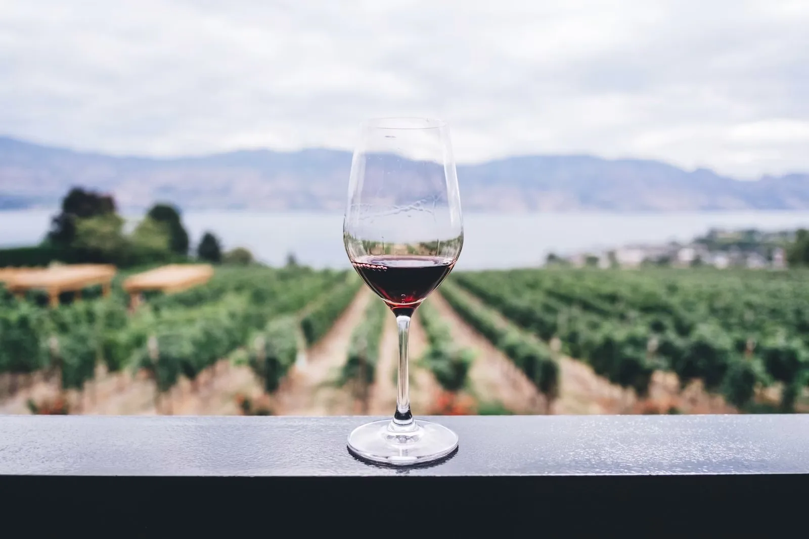 Cave à Vin