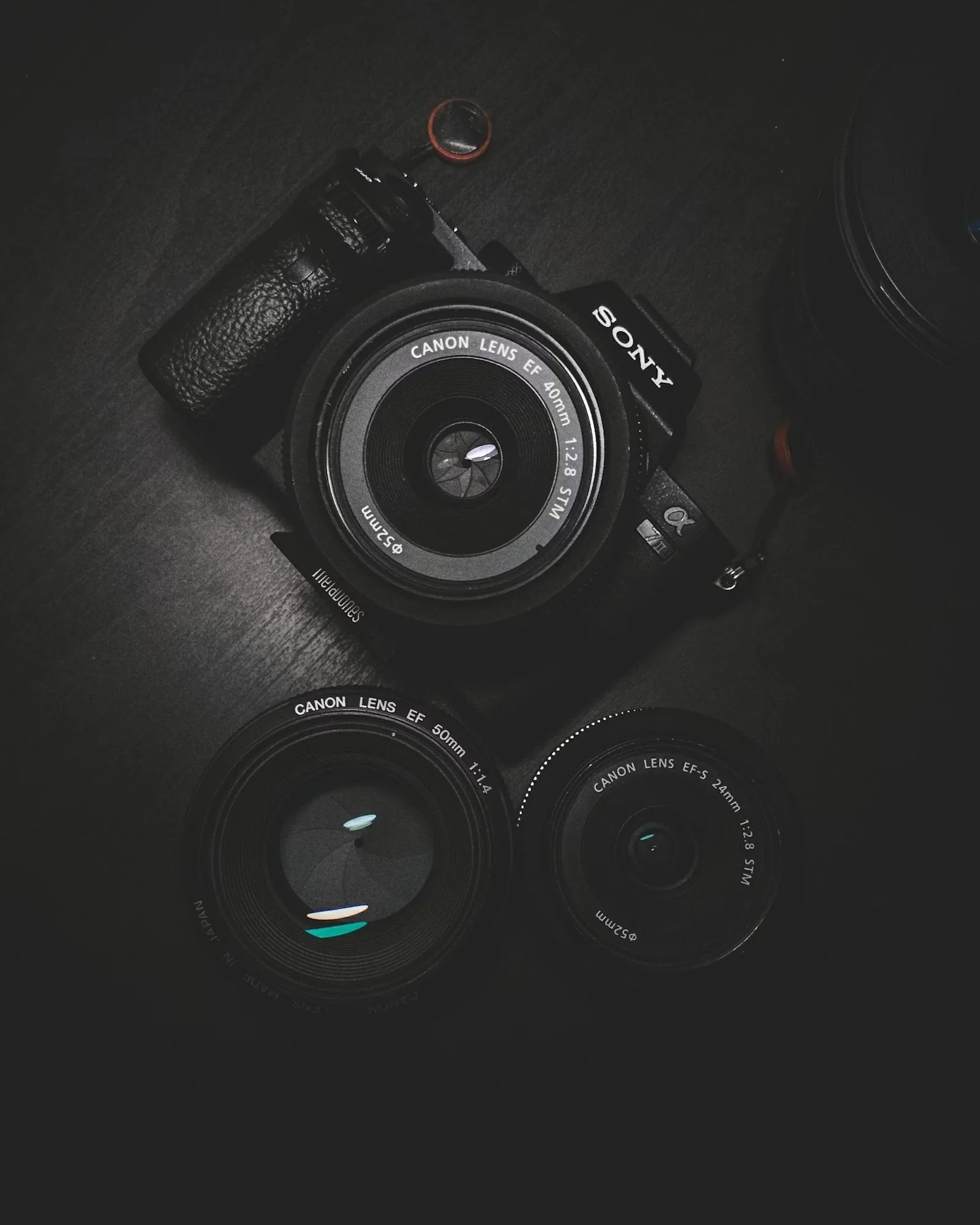 Photographe professionnel
