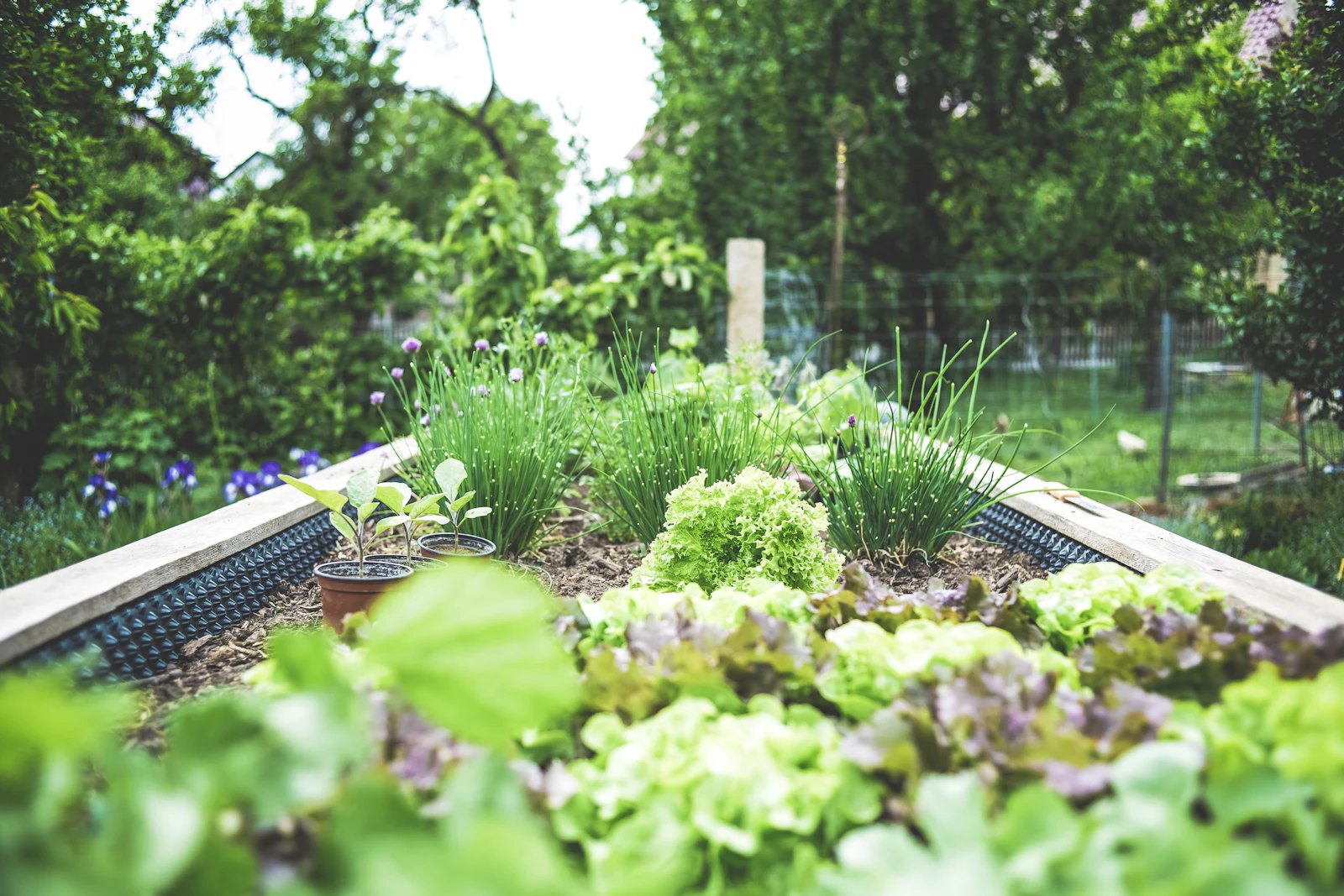 Jardin aménagé, ouest parisien